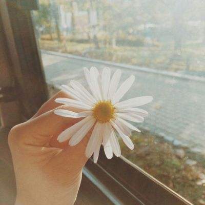 江南JN体育登录入口